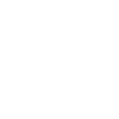 Delischuss